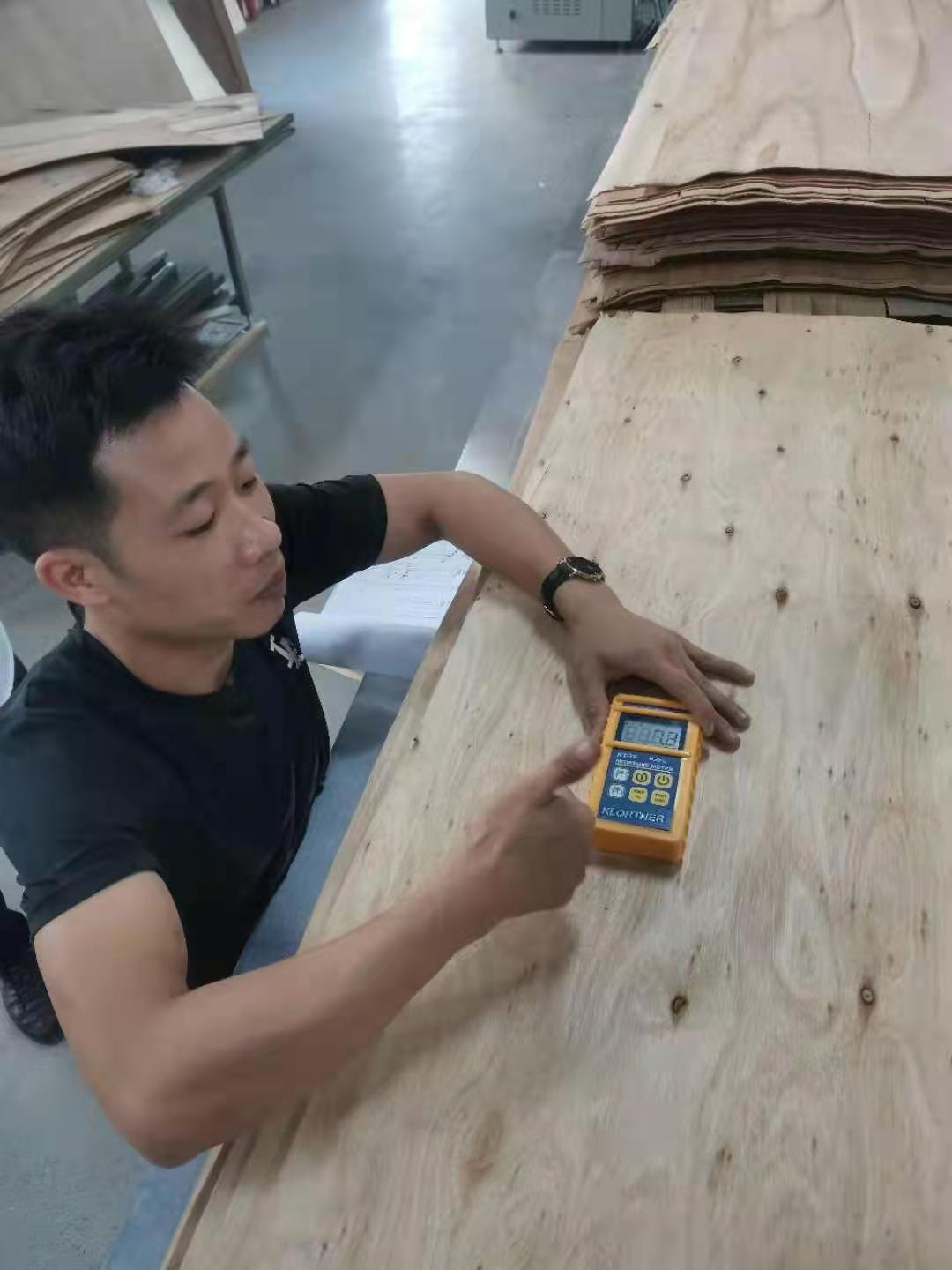 Vietnam-vacuum wood chip dryer
